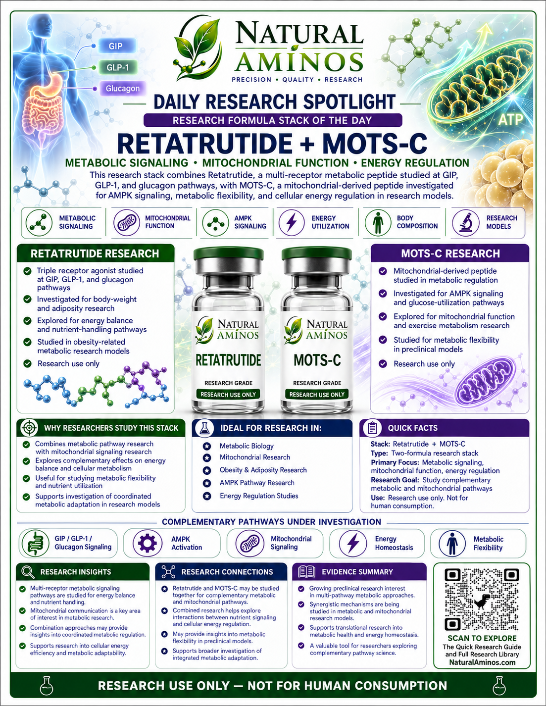 Retatrutide + MOTS-c research graphic